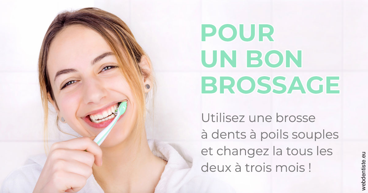 https://selarl-edanael.chirurgiens-dentistes.fr/Pour un bon brossage 2