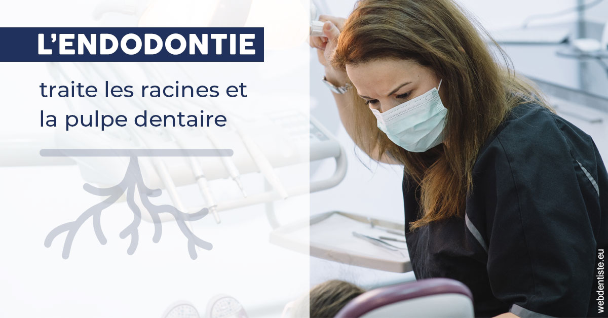 https://selarl-edanael.chirurgiens-dentistes.fr/L'endodontie 1