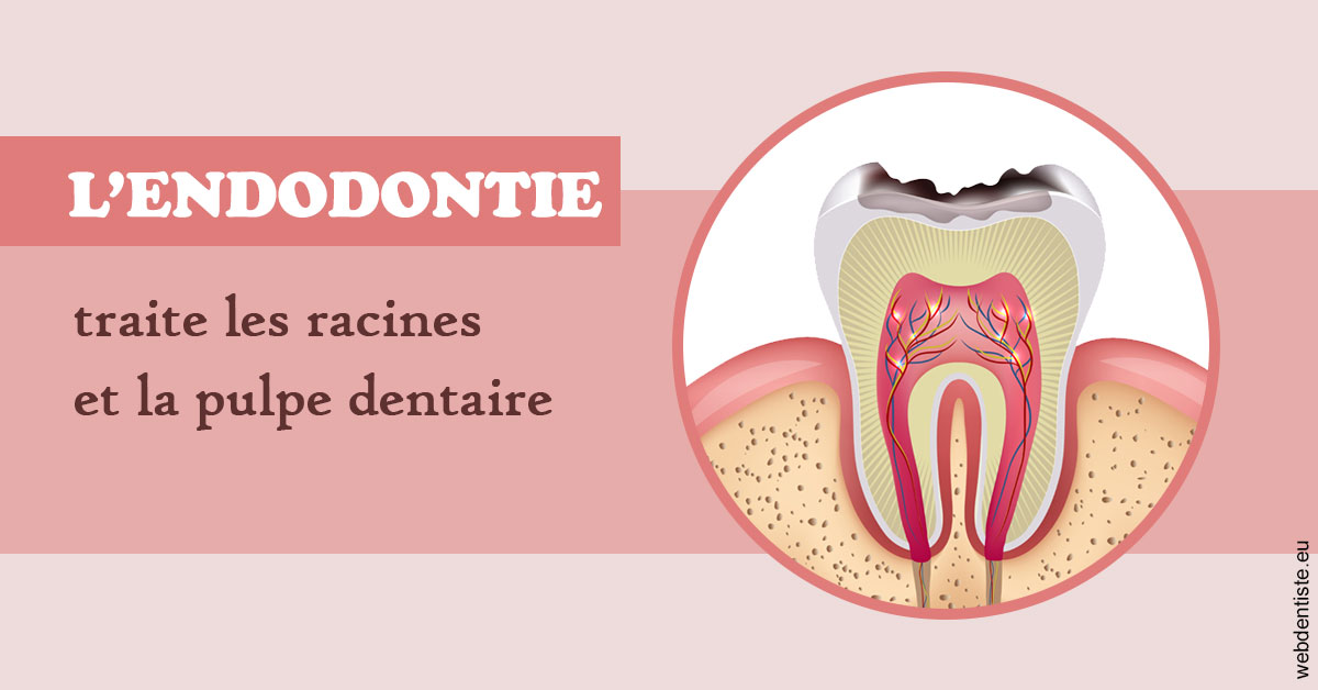 https://selarl-edanael.chirurgiens-dentistes.fr/L'endodontie 2