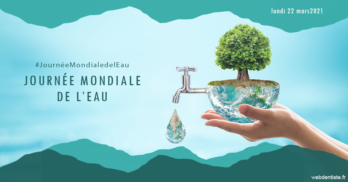 https://selarl-edanael.chirurgiens-dentistes.fr/Journée de l'eau 1